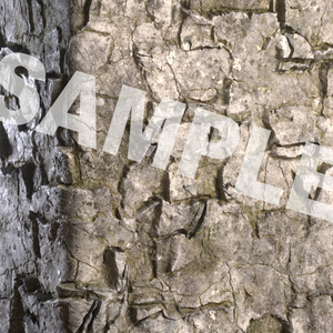 Substance 3D Rock material