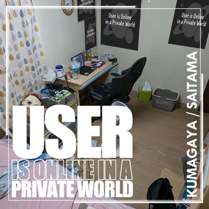 User is Online in a Private World