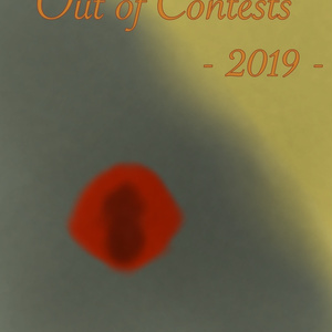 Out of contests 2019