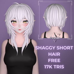 Shaggy Short Hair