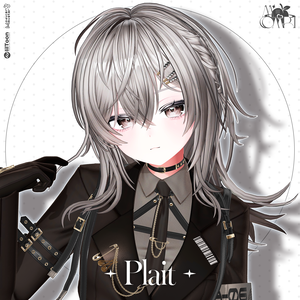 〈19アバター対応〉 ✦｡Plait-Hair🩶｡✦