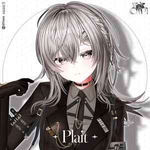 <19 Avatars Compatible> ✦｡ Plait-Hair 🩶｡✦