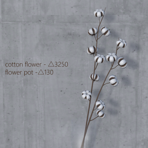  001. cotton flower - 3D