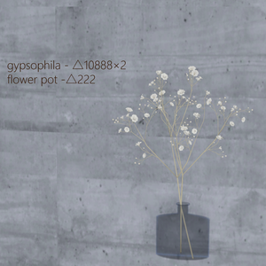 003. gypsophila - 3D