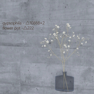 003. gypsophila - 3D