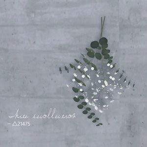 white recollection - 3D flowerswag