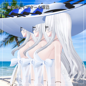 ウェンディ対応衣装【Pareo Swimwear】 缩略图 3