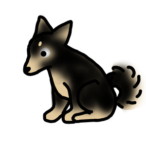 柴犬