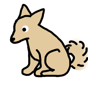 柴犬