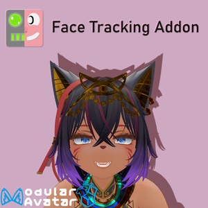 シャンテト FaceTracking Add-on