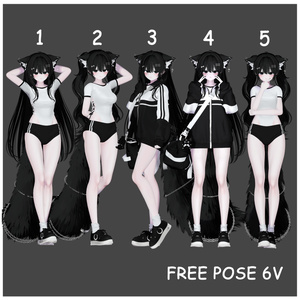 Free pose 6v