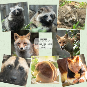 動物写真めがねふき（2023年ズーラシアフェス）
