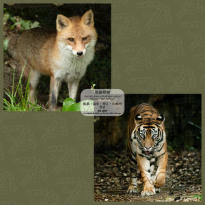 動物写真めがねふき（2025年1月）
