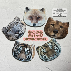 ねこみみ缶バッジ（キツネとネコ科）