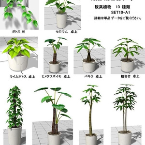 VectorWorks 観葉植物 A1 SET10  v10～v12.5・vw2014