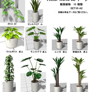 VectorWorks 観葉植物 A2 SET10  v10～v12.5・vw2014