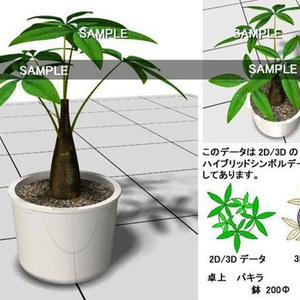 vectorworks パキラ 卓上  v10～v12.5 / vw2014