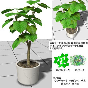 VW ﾌｨｶｽ ｳﾝﾍﾞﾗｰﾀ 卓上 v10～v12.5 / vw2014