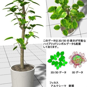 VectorWorks ﾌｨｶｽ ｱﾙﾃｼｰﾏ 鉢植 v10～v12.5/vw2014