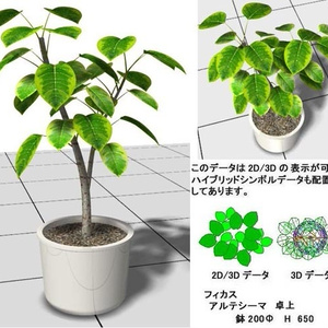 vectorworks ﾌｨｶｽ ｱﾙﾃｼｰﾏ 卓上 v10～v12.5/vw2014