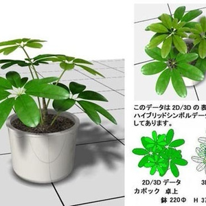 VW 観葉 ｶﾎﾟｯｸ 卓上 v10～v12.5/ vw2014