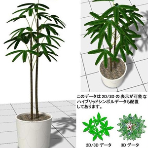 VectorWorks 観音竹 鉢植 v10～v12.5/vw2014
