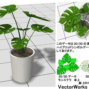 Vectorworks 3d ﾓﾝｽﾃﾗ卓上 v10～v12.5/vw2014