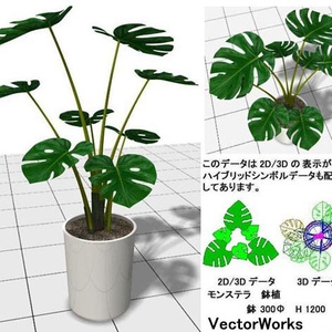 Vectorworks 3d ﾓﾝｽﾃﾗ鉢植 v10～v12.5/vw2014