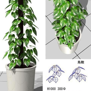 Vectorworks 3d ポトス鉢2 v10～v12.5/vw2014