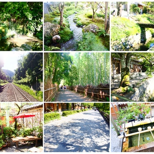 写真素材集01　夏の京都