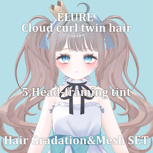 Gradation&Mesh++ Set for Cloud curl twin hair ÉLURE様 缩略图 7