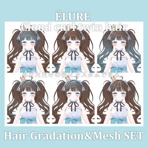 Gradation&Mesh++ Set for Cloud curl twin hair ÉLURE様 缩略图 9