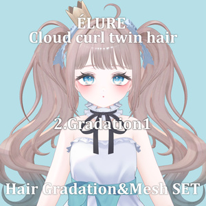 Gradation&Mesh++ Set for Cloud curl twin hair ÉLURE様 缩略图 4