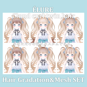 Gradation&Mesh++ Set for Cloud curl twin hair ÉLURE様 缩略图 10