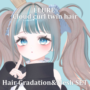 Gradation&Mesh++ Set for Cloud curl twin hair ÉLURE様