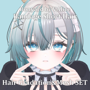 Gradation & Mesh++ Set for Bandage Short Hair (Bonyard)