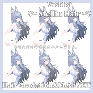 Gradation&Mesh++ Set for ♡⑅ Stellin Hair ⑅♡ Wishlist様 缩略图 13