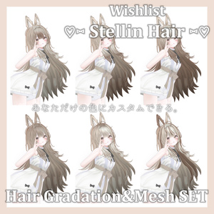 Gradation&Mesh++ Set for ♡⑅ Stellin Hair ⑅♡ Wishlist様 缩略图 14