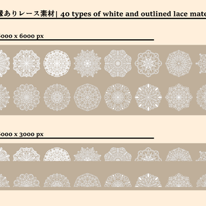 40種の白色縁ありレース素材│40 types of white and outlined lace materials