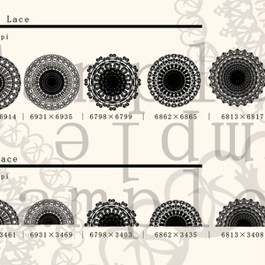 レース素材4/Lace material 4