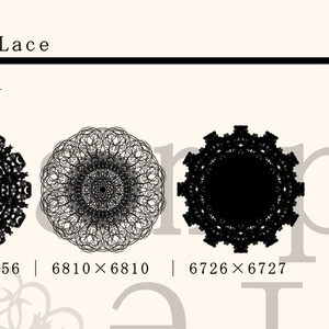 レース素材5/Lace material 5