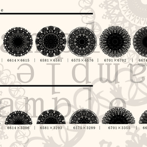 レース素材8/Lace material 8