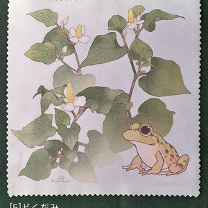 若草色カエルポーチ - 蛙堂 - BOOTH