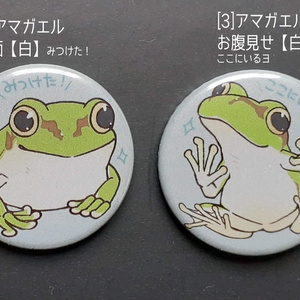 若草色カエルポーチ - 蛙堂 - BOOTH