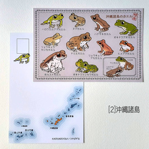琉球弧のカエル ポストカード