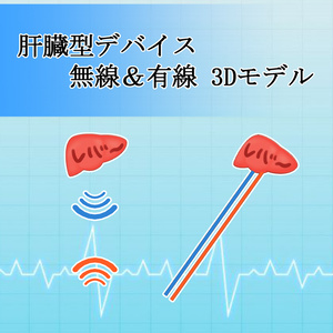 肝臓型デバイス 無線&有線 3Dモデル