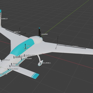 Canard Airplane 缩略图 2