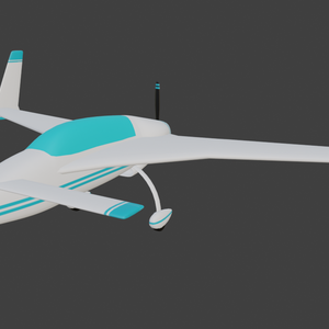 Canard Airplane