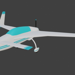 Canard Airplane