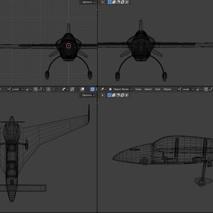 Canard Airplane 缩略图 3